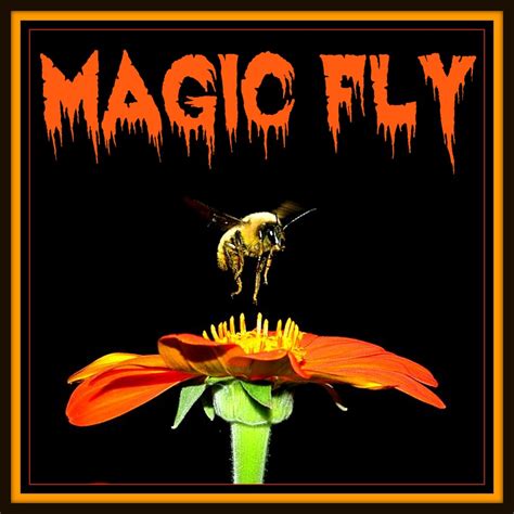 The Magic Behind the Music: How Magic Fly Transcends Genre